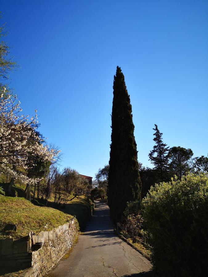 La Vivagna - Casa Vista Mare Tra Gli Ulivi Villa Leivi Exterior photo